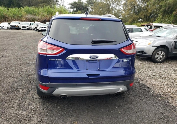 Ford Escape cena 28000 przebieg: 88580, rok produkcji 2014 z Buk małe 79